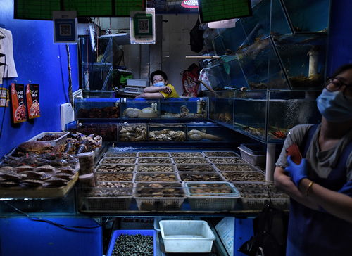 多图直击 特殊时期下的北京一周“掌上菜市场”