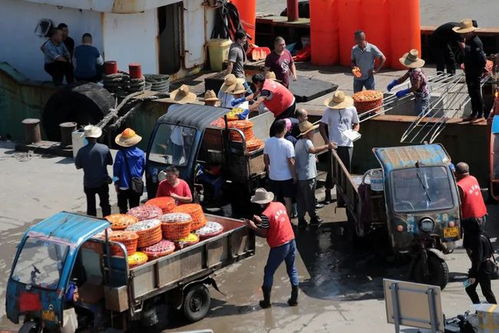 透骨新鲜！舟山第一水海鲜来啦，菜篮子平价供应今日启动，持续20天，价目表看过来