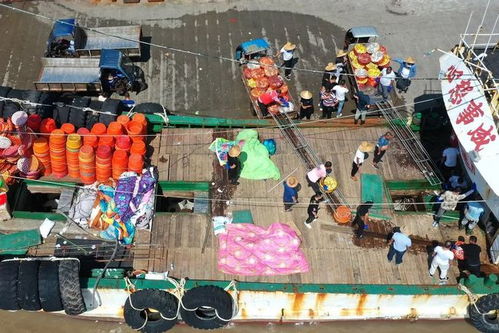 透骨新鲜！舟山第一水海鲜来啦！菜篮子平价供应今日启动，持续20天，价目表抢先看