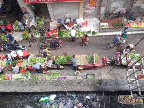 掌上菜市场 柳江区玻璃厂菜市场地摊乱象何时休？